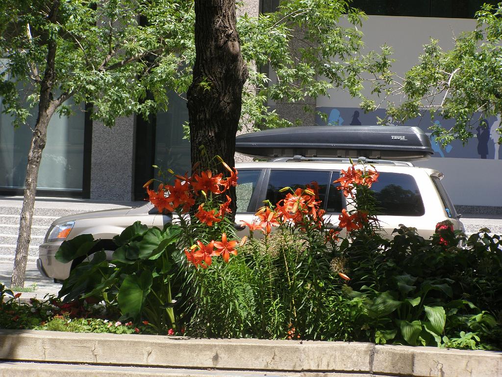 toronto (19).JPG